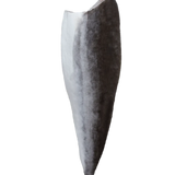 Young@Heart Sustainable Omega 3 Cobia Fillet  奧米加3海鱺魚魚柳 (1.6-1.7kg)