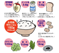 青森県陽光湖水米 Aomori Sunshine Rice 4kg